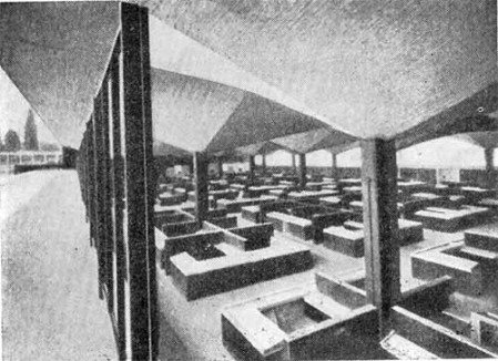 Зонтичные покрытия в форме гиперболических параболоидов, 1950-е годы. Арх. Ф. Кандела. Фрагмент крытого рынка в Койоакане, предместье Мехико