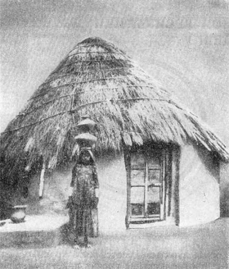 Современное крестьянское жилище